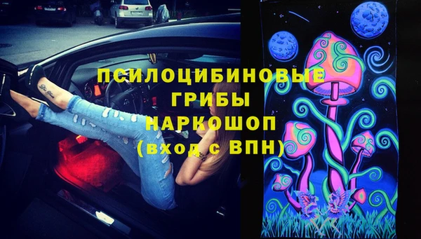 амф Абаза