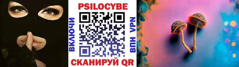 закладки Горбатов Галлюциногенные грибы прущие грибы